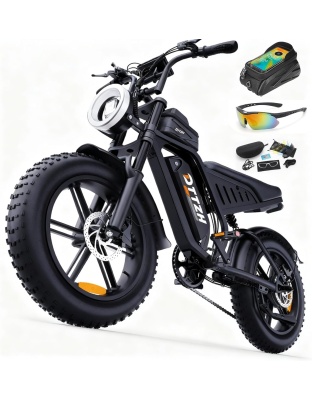 Electric Bike for Adults with NFC &amp; Password Unlock, 4000/2000/1500W, 60V 30Ah, 48V 15/25Ah E-Bike